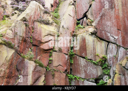 Derbyshire, Großbritannien - 23 Aug 2015: Natürliche Muster oder roten und braunen Felswand mit grünen Pflanzen am 28 Aug Risse an Burbage South Kante, Peak District Stockfoto