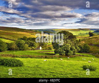 Eine Spätsommer Blick über Danby Low Moor in den Yorkshire Moors, England, Großbritannien Stockfoto