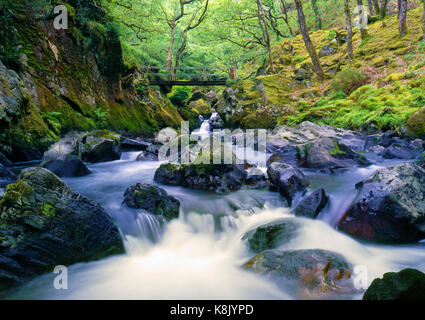 Ein Blick auf die schnell fließenden Afon Goedol im Snowdonia National Park, North Wales Stockfoto