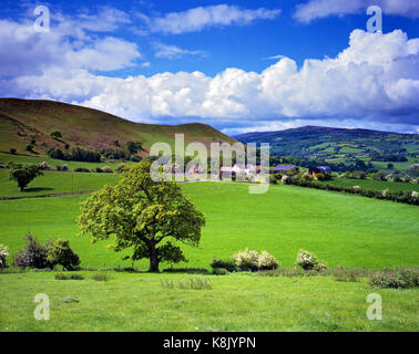 Ein Blick über die Landschaft von Shropshire auf die walisischen Berge suchen. Stockfoto