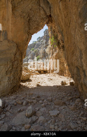 Imbros Schlucht Kreta Stockfoto