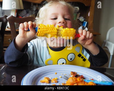 Hungriger Kleinkind genießt sein Mais auf dem Kob. Zweieinhalb Jahre alter Junge, der seinen Mais mit Spießen verzehrt. Lernen, frisches Gemüse zu essen. Stockfoto