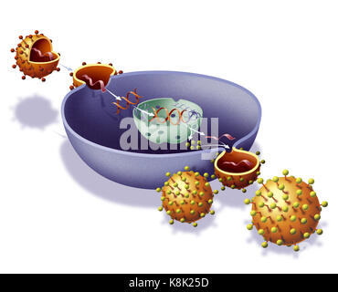 AIDS-VIRUS-INFEKTION, ZEICHNUNG Stockfoto