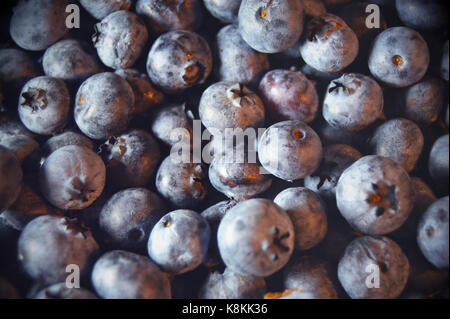 Heidelbeeren Stockfoto