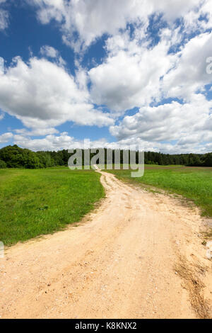 Sandigen Kurve der Straße auf dem Hügel. Am Rande der Straße grüne Gras und Bäume in den Wald auf die Berge wachsen. Frühling Landschaft. Stockfoto