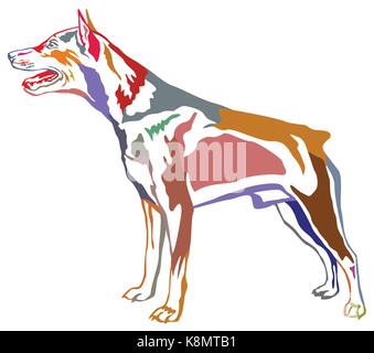 Bunte Kontur dekorative Portrait von ständigen im Profil hund Zwergpinscher, Vektor isoliert Abbildung auf weißem Hintergrund Stock Vektor