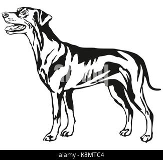 Dekorative Kontur Portrait von Hund, im Profil Deutsche Pinscher stehend (Standart), Vektor isoliert Abbildung in schwarz auf weißem Hintergrund Stock Vektor