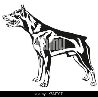 Dekorative Kontur Portrait von Hund, im Profil Zwergpinscher stehend, Vektor isoliert Abbildung in schwarz auf weißem Hintergrund Stock Vektor