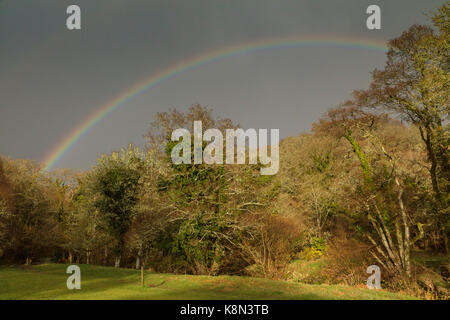 Regenbogen über theTeign Tal im Frühling, unter Castle Drogo, Dartmoor, Devon Stockfoto