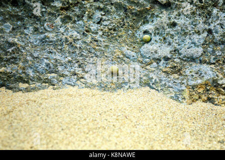 Eine andere Welt in Klein Stockfoto