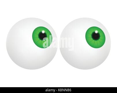 Augapfel mit grünen Pupille, Iris. Realistische menschliche Körper Teil gesetzt. Vector Illustration auf weißem Hintergrund. Stock Vektor