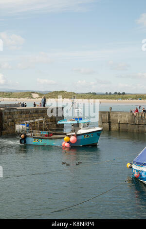 Fischerboot kehrt in Beadnell Hafen, Northumberland, England Stockfoto