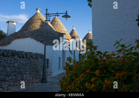 Trulli auf der Via Monte Nero, Rione Monti, Alberobello, Apulien, Italien Stockfoto