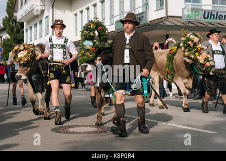 Viehscheid, traditionelle Feier der Kühe von den Almen - alms, Allgaeu, Deutschland Stockfoto