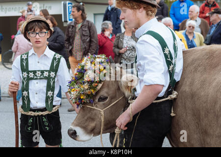 Viehscheid, traditionelle Feier der Kühe von den Almen - alms, Allgaeu, Deutschland Stockfoto