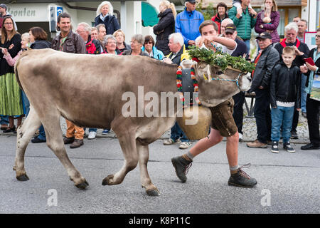 Viehscheid, traditionelle Feier der Kühe von den Almen - alms, Allgaeu, Deutschland Stockfoto