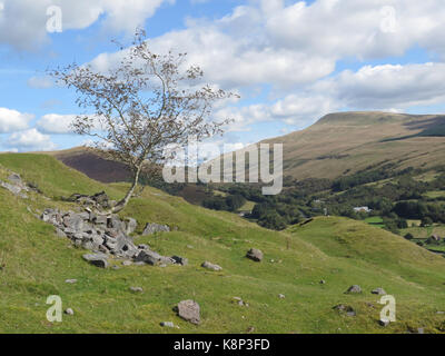 Wales: Brecon Beacons in der Nähe von Glyntawe Stockfoto