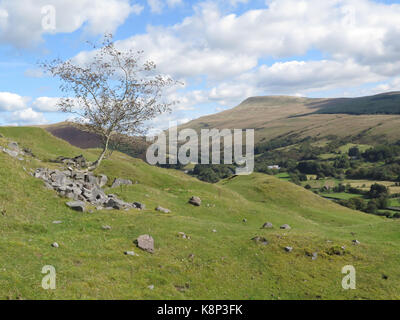 Wales: Brecon Beacons in der Nähe von Glyntawe Stockfoto