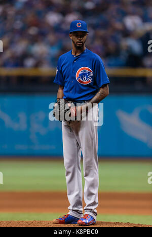 Tropicana Field. 19 Sep, 2017. Florida, USA - Chicago Cubs Entlastung Krug Carl Edwards Jr. (6) sieht in der Tonhöhe Zeichen im 8. Inning im Spiel zwischen den Chicago Cubs und die Tampa Bay Rays am Tropicana Feld. Del Mecum/CSM/Alamy leben Nachrichten Stockfoto