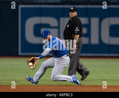 Tropicana Field. 19 Sep, 2017. Florida, USA - Chicago Cubs zweiter Basisspieler Ian Happ (8) Felder Tampa Bay Rays linken Feldspieler Corey Dickerson (10) am Ball im 8. Inning im Spiel zwischen den Chicago Cubs und die Tampa Bay Rays am Tropicana Feld. Del Mecum/CSM/Alamy leben Nachrichten Stockfoto