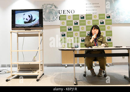 Ein Mitarbeiter des Ueno Zoological Gardens erklärt auf einer Pressekonferenz in Tokio, Japan, am 20. September 2017. Eine weibliche Panda Cub in Ueno Zoological Gardens geboren wird heute 100 Tage alt. Der Name des Cub wird Ende dieses Monats bekannt gegeben. Credit: yohei Osada/LBA/Alamy leben Nachrichten Stockfoto