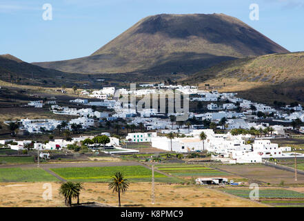 Blick über Kakteen und weiß getünchten Häusern, Monte Corona Vulkan Kegel, Dorf von Maguez, Lanzarote, Kanarische Inseln, Spanien Stockfoto
