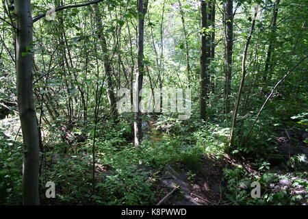 Unsortierte Bilder im Querformat (in Arbeit) Stockfoto