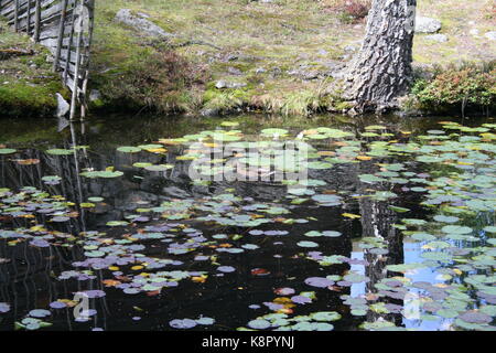 Unsortiert Anlage Bilder (in Arbeit) Stockfoto