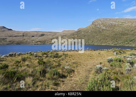 Blick über Berggebiete See Sumapaz Nationalpark, Bogota, Kolumbien November Stockfoto