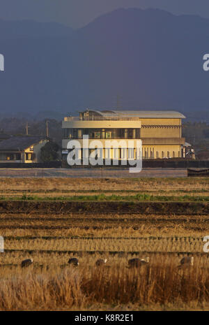 Blick über die Felder zu Arasaki Kran Informationsstelle Arasaki, Kyushu, Japan März Stockfoto