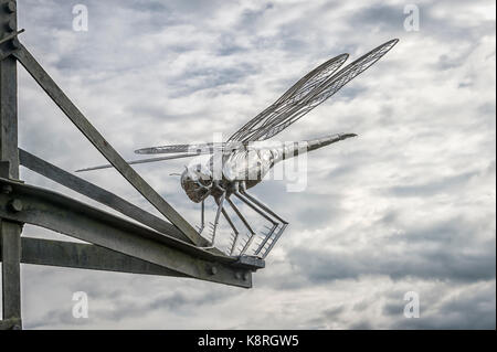 Dragonfly Skulptur auf dem Dragonfly Nature Trail, thursley Gemeinsame, Surrey, Großbritannien Stockfoto