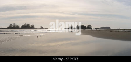 Panoramabild von Chesterman Beach in der Nähe von Tofino, British Columbia, Kanada. Stockfoto