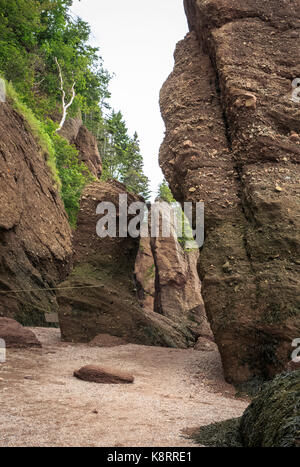 Flower Pot Felsformationen verursacht von Cliff Erosion, Hopewell Rocks, Fundy National Park, Bucht von Fundy, New Brunswick, Kanada Stockfoto