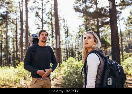 Mann und Frau tragen Rucksäcke erkunden den Wald. Wandern Paar suchen während Trekking in einem Wald. Stockfoto