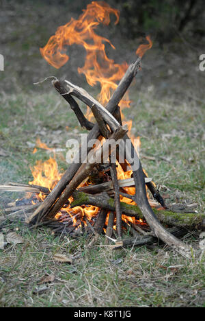 Lagerfeuer im Wald. Frühjahr 2007. Tagsüber. Stockfoto