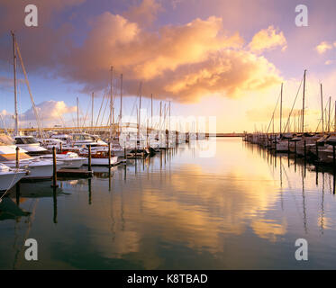 Neuseeland. Auckland. Yachten in der Marina bei Sonnenaufgang.
