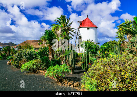 Berühmten Kakteengarten auf Lanzarote Insel. Kanarische Inseln, Spanien. Stockfoto