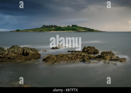 Ardwall Insel von carrick Ufer im Norden solway am Eingang der Bucht zu wigtown Stockfoto