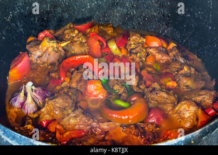 In der Nähe der traditionellen usbekischen shurpa Gericht aus Lamm und Gemüse am offenen Feuer in Gusseisen Kessel gemacht. Stockfoto