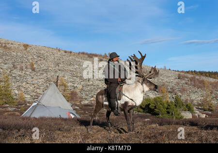 Tsaatan Mann, in einem traditionellen Deel gekleidet, mit seinen Rentieren in der Taiga im Norden der Mongolei Stockfoto