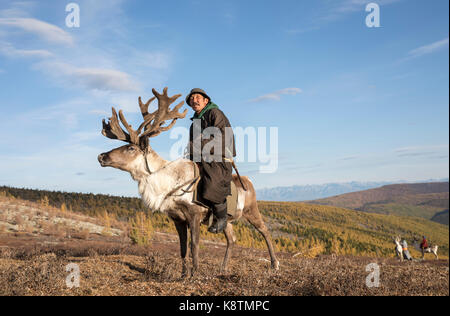 Tsaatan Mann, in einem traditionellen Deel gekleidet, mit seinen Rentieren in der Taiga im Norden der Mongolei Stockfoto