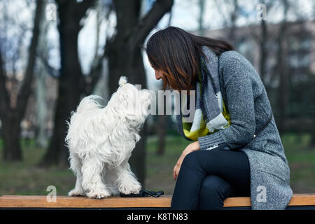 Süße kleine Hund spielen mit dem Eigentümer im Außenbereich Stockfoto