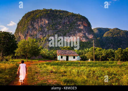 Eine lokale Frau zurück zu ihrem Bauernhof vor einem MOGOTES im Tal von Vinales, Kuba Stockfoto