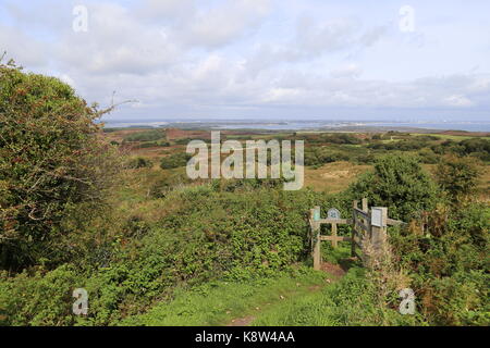 Über Godlingston Heide bis Poole Harbour, Swanage, Isle of Purbeck, Dorset, England, Großbritannien, USA, UK, Europa Stockfoto