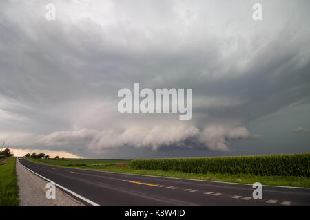 Eine supercell Thunderstorm Spins in den Himmel über einem bean Feld in Iowa. Stockfoto