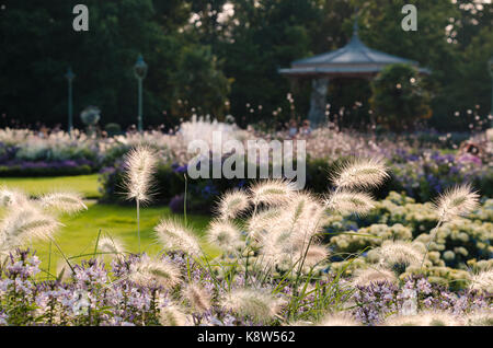 RENNES, FRANKREICH. August 2017. Der Musikpavillon im Parc du Thabor, der durch die Blumenbeete des Spätsommers mit Ziergräsern bepflanzt ist. Stockfoto