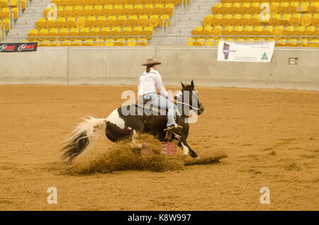 Reitsport, meine Damen National Finals Barrel Race am australischen Pferden und Vieh Events Center (AELEC) Indoor Arena, Tamworth NSW Australien, Stockfoto