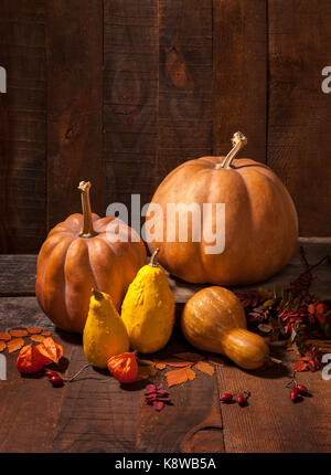 Herbst noch Leben mit Kürbissen, Blätter, Hagebutten, Beeren und Physalis vor dem Hintergrund der alten hölzernen Wand. Stockfoto