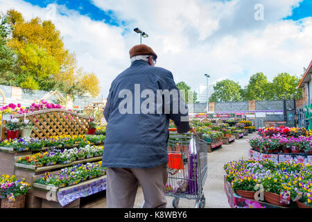 Ältere Menschen im Ruhestand Mann zu Fuß mit einem Einkaufswagen im Garten Abschnitt in voller Blüte an der beliebten Baumarkt B&Q in Rhyl, Nord Wales Stockfoto