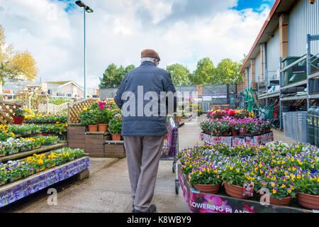 Ältere Menschen im Ruhestand Mann zu Fuß mit einem Einkaufswagen im Garten Abschnitt in voller Blüte an der beliebten Baumarkt B&Q in Rhyl, Nord Wales Stockfoto